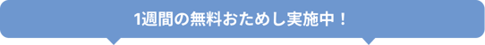 otameshi otameshi